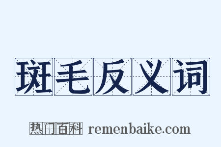 斑毛反义词是什么意思的图片